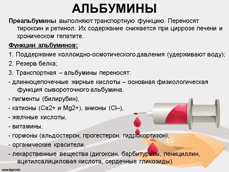 Преальбумины выполняют транспортную функцию. Переносят тироксин и ретинол. Их содержание снижается при циррозе печени